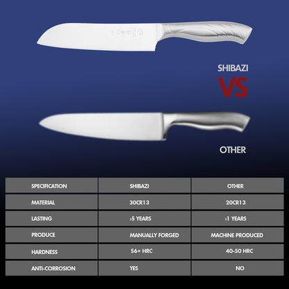SHI BA ZI ZUO Santoku Knife and Fruit Knife,2-Piece Professional Kitchen Knife Set Chef Knife with Ergonomic Handle Stainless Steel for Kitchen and Restaurant