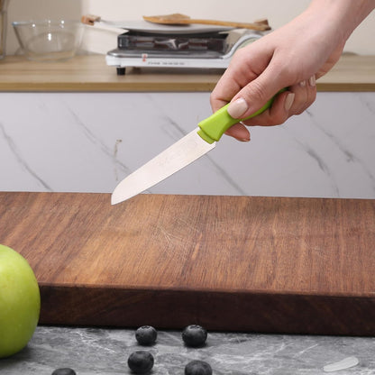 SHI BA ZI ZUO Paring Knife with Knife Cover, Stainless Steel Fruit Knife Ultra Sharp Kitchen Knives with PP Handle